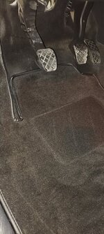 IMG_20230606_191334.jpg