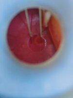 IMG20230811121301.jpg