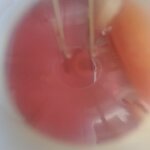 IMG20230811121251.jpg