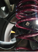 IMG_2293.jpeg