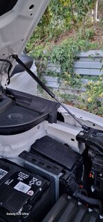 20230914_192933[1].jpg