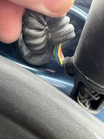 IMG_2535.jpeg