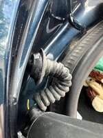IMG_2534.jpeg