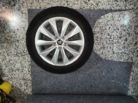 IMG20240201171814.jpg