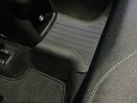 IMG_8039.jpeg