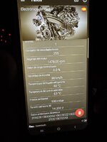 IMG_0526.jpeg