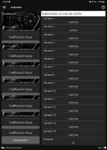 Screenshot_20250125_173609_OBDeleven.jpg