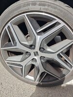 IMG_20250205_132214.jpg