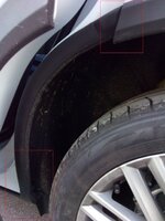 IMG_20170129_173553.jpg