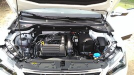 IMG_20170204_123152.jpg