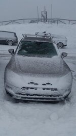 20170212_113908.jpg