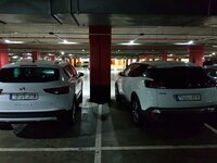 20170129_003237-01.jpeg