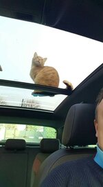20170218_165710.jpg