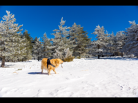 IMG_0800.PNG