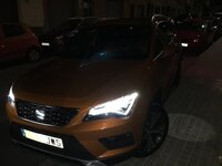 IMG_4971.JPG