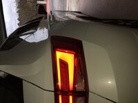 IMG_5406.JPG