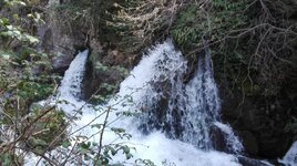 IMG_20170311_133011[1].jpg