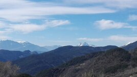 IMG_20170311_130344[1].jpg