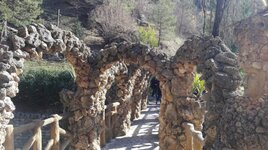 IMG_20170311_102833[1].jpg