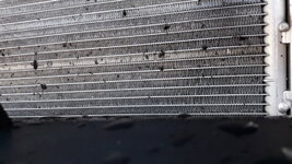 20170329_180527.jpg