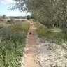 lobito1