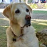 ToniE