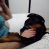 Joseliyo360